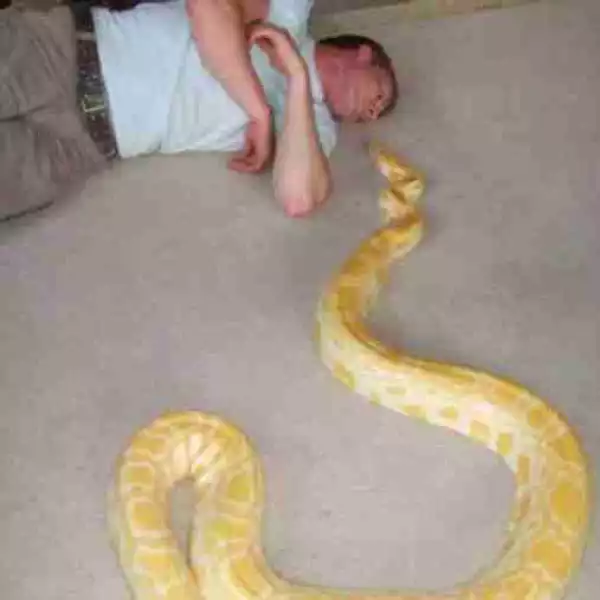 Man Found Dead In His Bedroom Beside His Python Pet In UK (Photos)
